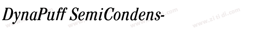 DynaPuff SemiCondens字体转换